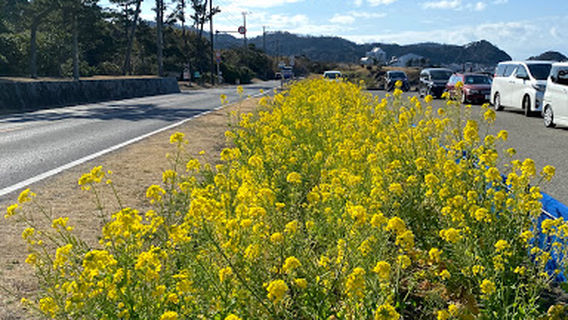 Tateyama