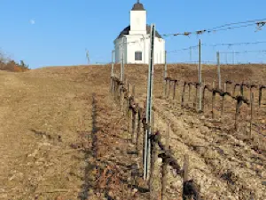 Rendszerváltás előtti elhagyatott víztározó