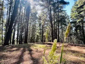 Mount Franklin Reserve