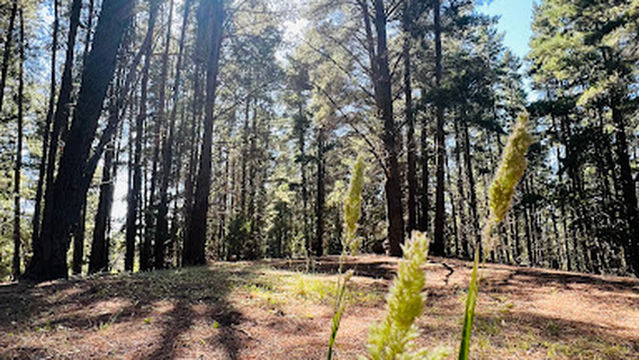 Mount Franklin Reserve