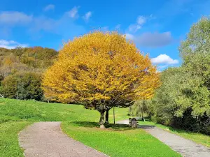 Europark Zagorje