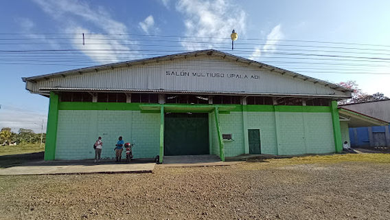 Salon Multiuso, Upala