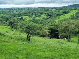 Ribeirão João Leite