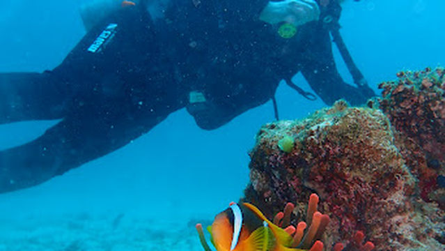 Duiken-Hurghada Seagate diving center