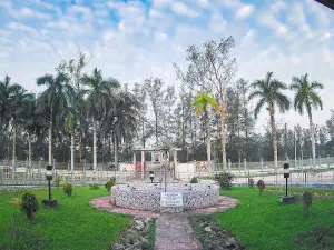 Patuakhali Circuit House Garden