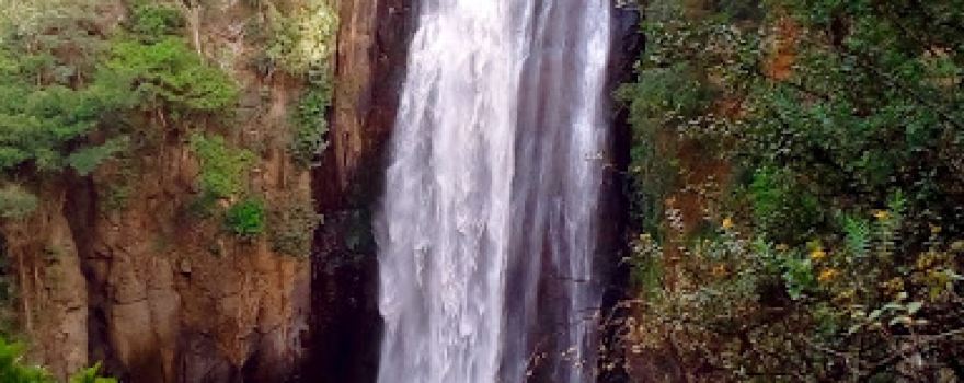 Subukia River