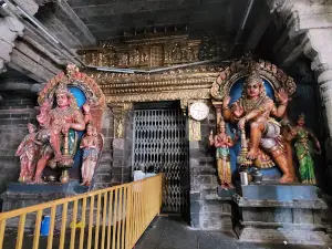 Nadi Astrology Vaitheeswaran Koil Temple