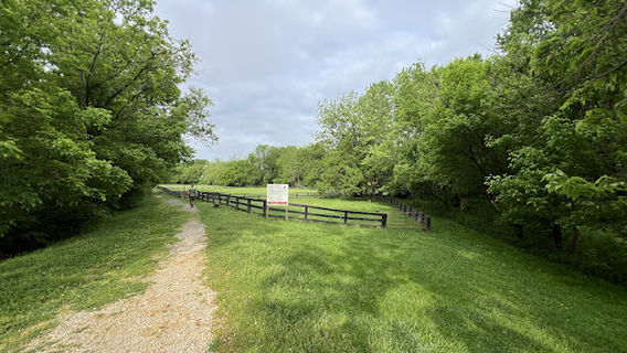 Dog park
