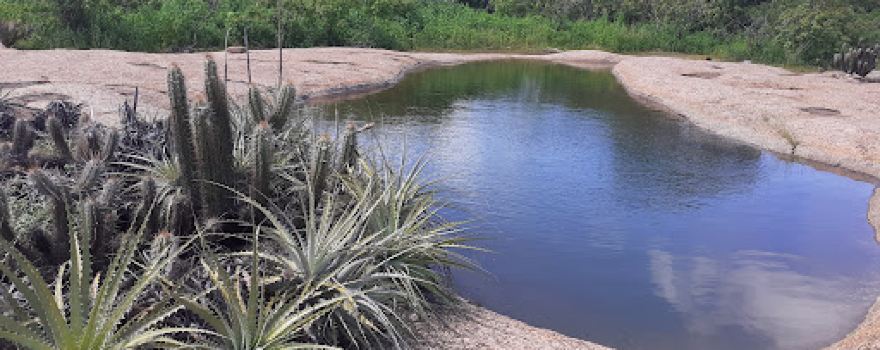 Rancho Xique xique