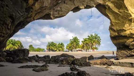 Texas football field