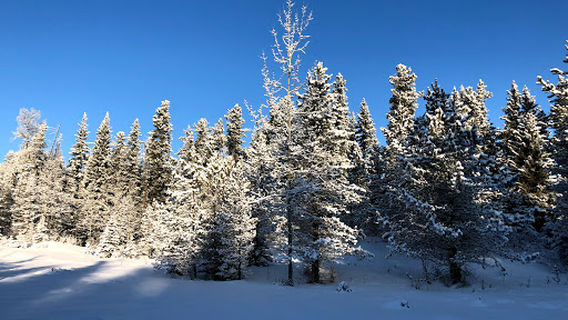 West Bragg Creek Day Use Area