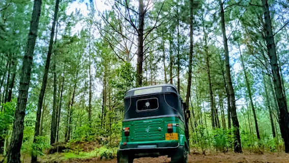 Ella Tuk Tuk Tours with dilshan