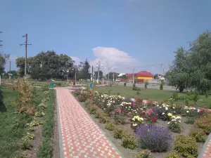 Sonyachne Derevo