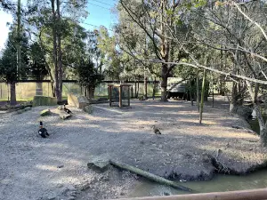 Central Coast Zoo