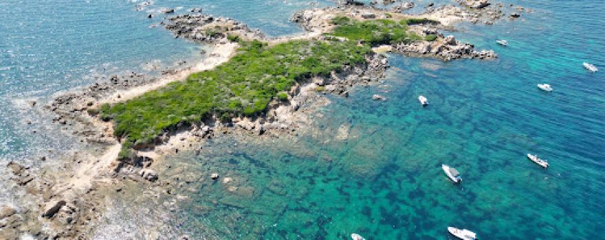 Ile Piana