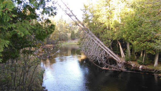 Rayburn Estates North Down River Road Trailhead