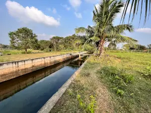 Muthuiayankadu Kulam