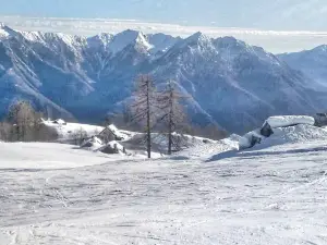 Sciovie Lusentino Moncucco Domobianca Uffici