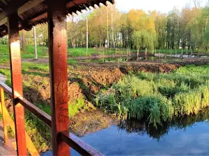 Dendropark