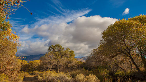 Kern River Preserve