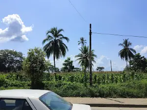 Simón Bolívar Park