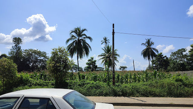 Simón Bolívar Park