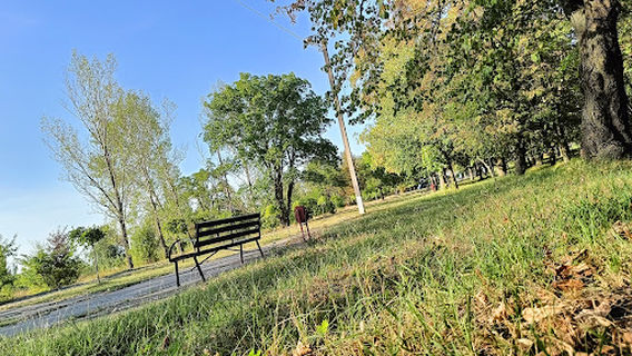 Clubul Sportiv Costești
