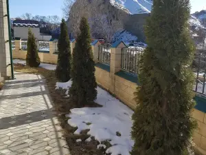 Мечеть