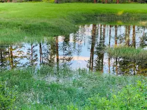 Skookum Creek Campground