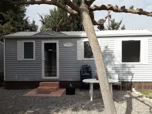 Knittels Ebro Angelcamp/Camping Bellavista