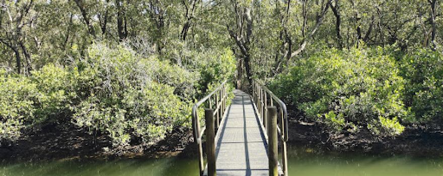Great North Walk