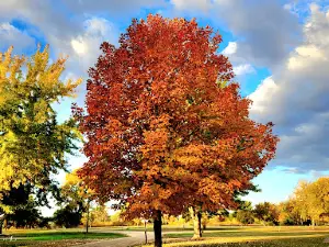 Wagner Park Campground