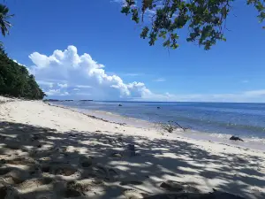 Wisata Pantai Tanjung Dulang
