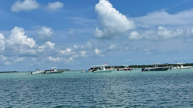 Key West Sandbar Trips