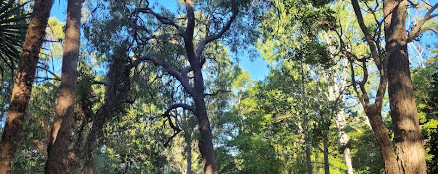 Plantation Park