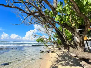 Original Mirissa Dive Center