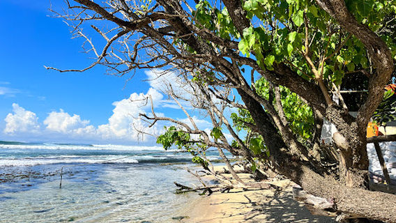 Original Mirissa Dive Center