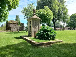 Vouvant • Medieval City