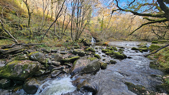 Ceunant Llennyrch National Nature Reserve