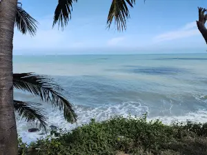 Mirador De Palomino