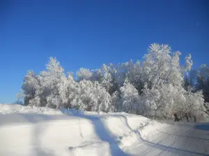 Kuutsemäe Holiday Center