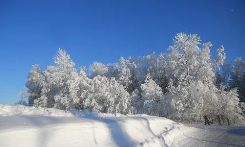 Kuutsemäe Holiday Center
