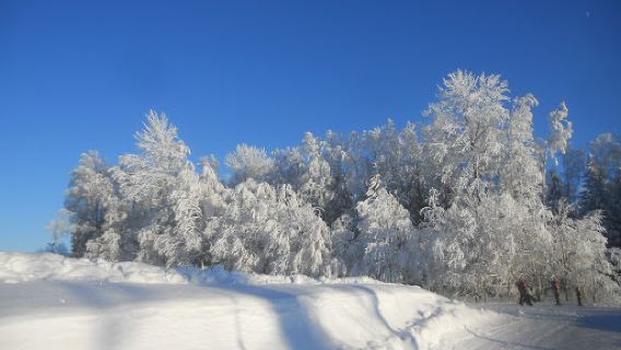 Kuutsemäe Holiday Center