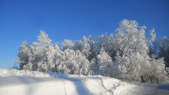 Kuutsemäe Holiday Center