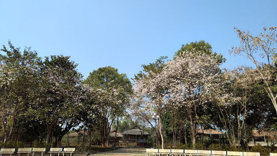 Tượng Đài Di Tích Mường Phăng