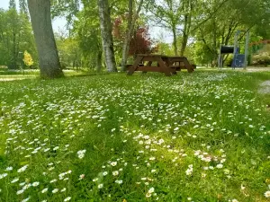 Parc Juvigne