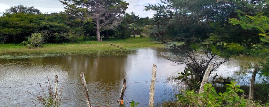 Laguna La Trinitaria