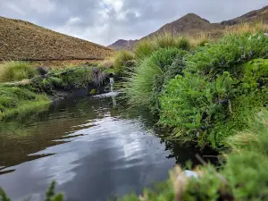 Cerro Khapía Reserve