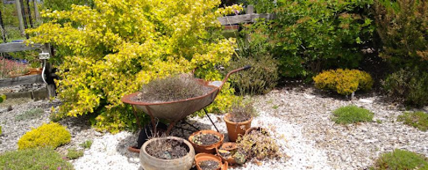 The Bay Tree Nursery