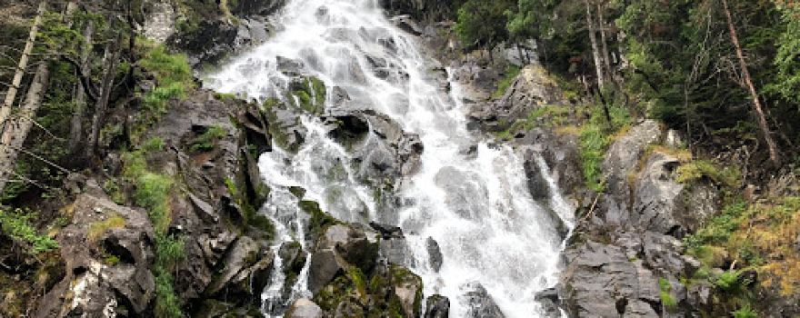 Bosc del Gerdar